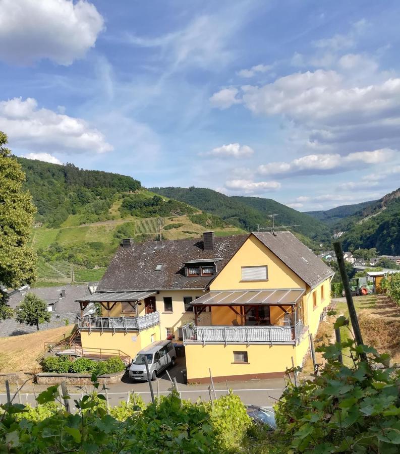 Die Ferienwohnung Lindenhof زيل ان دير موسل المظهر الخارجي الصورة